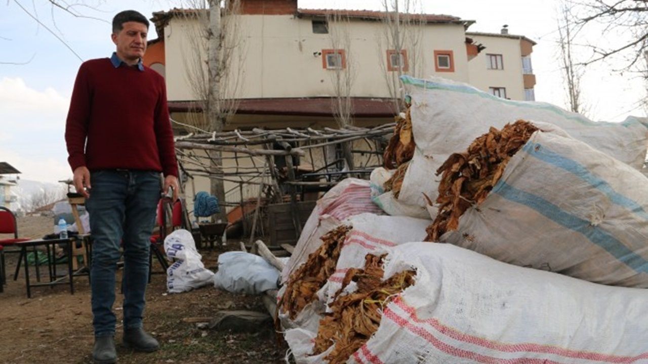 Doğanşehir’deki tütün üreticileri yasal düzenleme istiyor