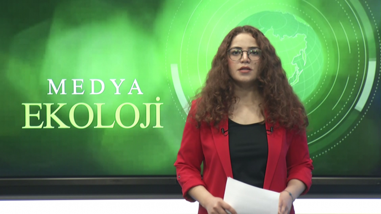 Tutuklu gazeteci Elif Üngür'e delilsiz ceza talebi