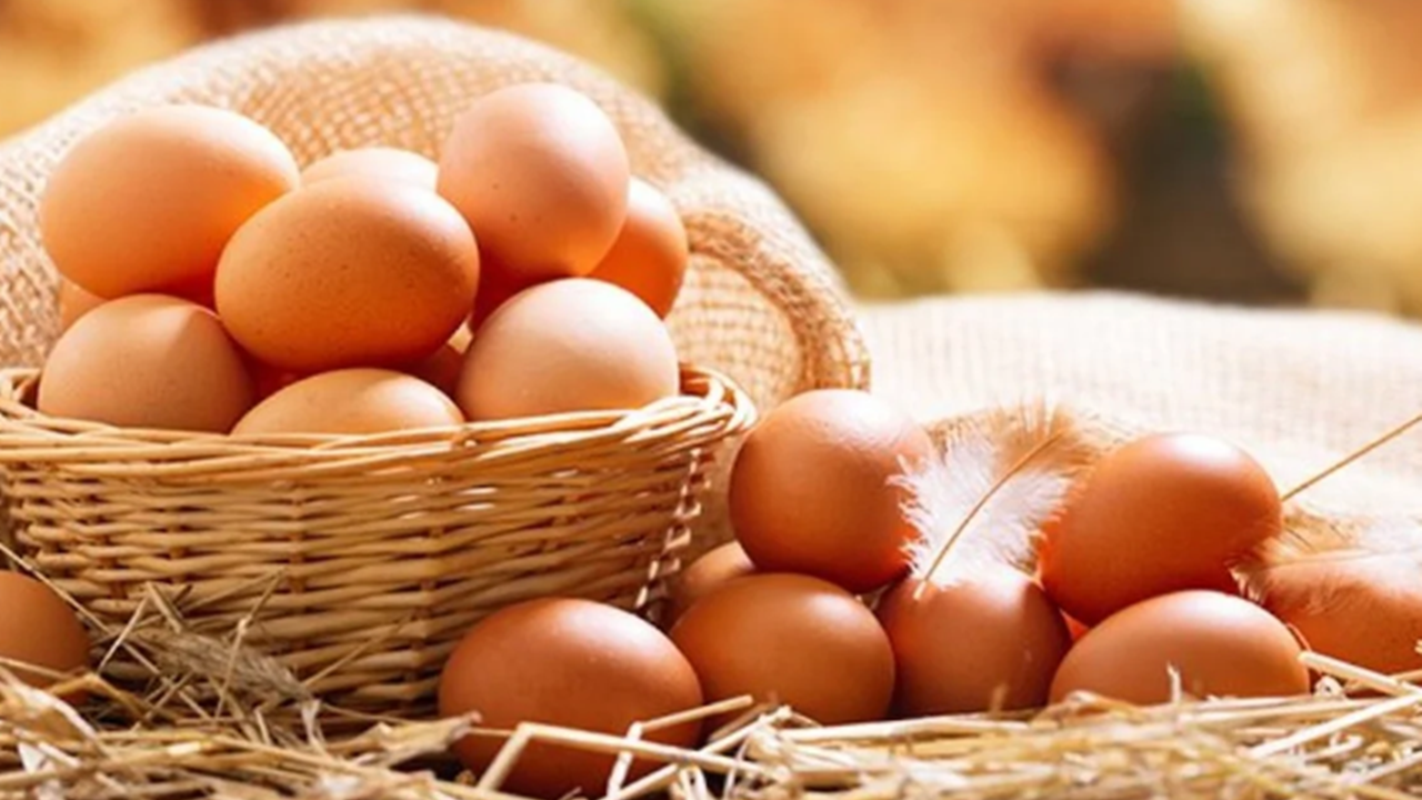 TÜİK: Yumurta üretimi Şubat’ta yüzde 6,6 azaldı
