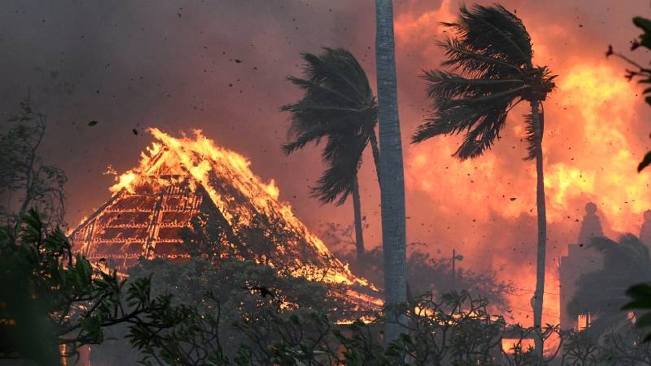 ABD’deki orman yangınlarında can kaybı 67’ye yükseldi