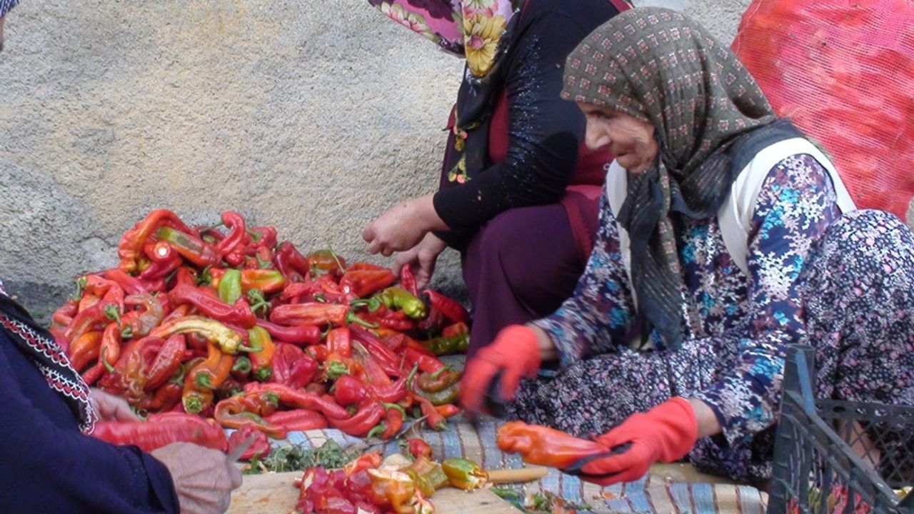 Yöresel lezzetler ekonomik krizle birlikte kadınların iş kaynağı oldu