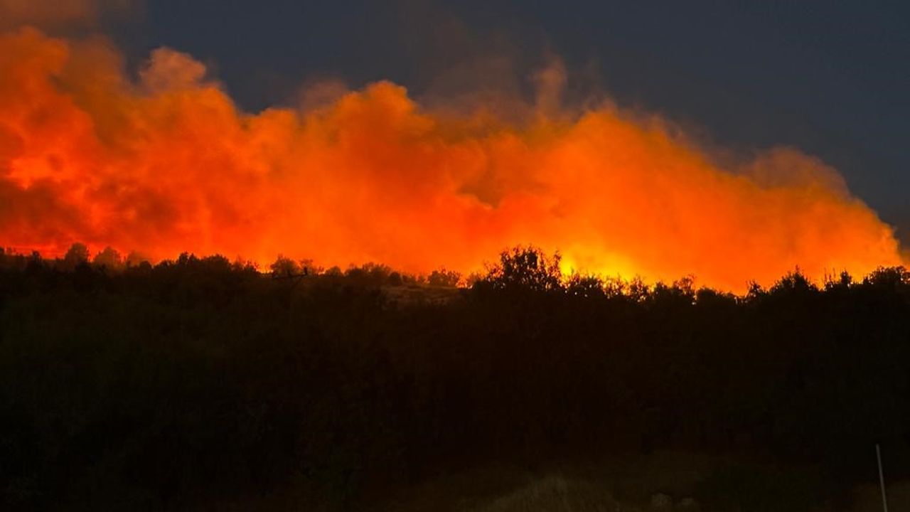 Diyarbakır'daki yangın 10 saat sonra söndürüldü: 50 hektarlık alan zarar gördü