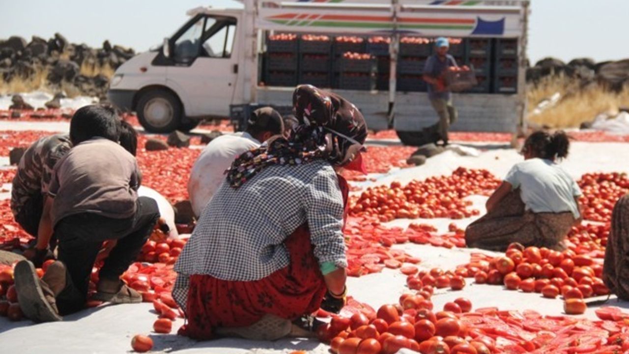 Karacadağ'da çiftçi de işçi de isyanda!