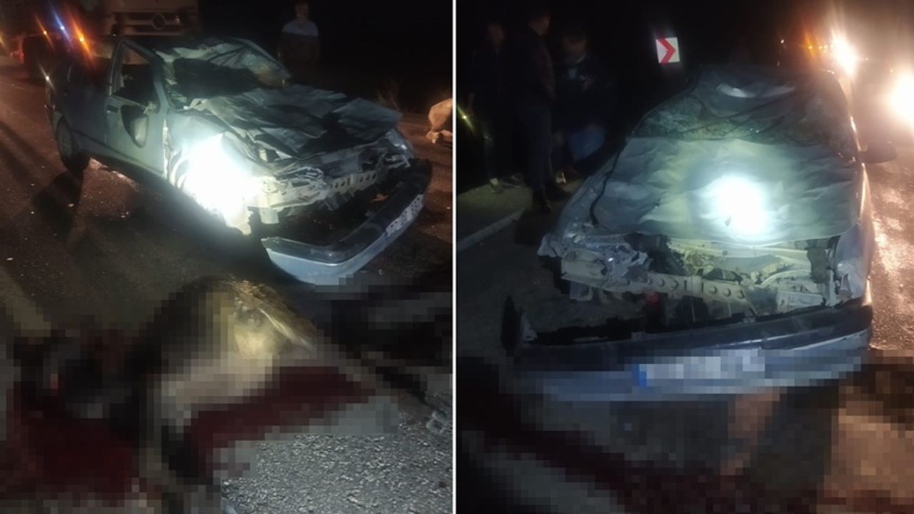 Diyarbakır'da mandalara çarpan otomobil 2 kişiyi de yaraladı