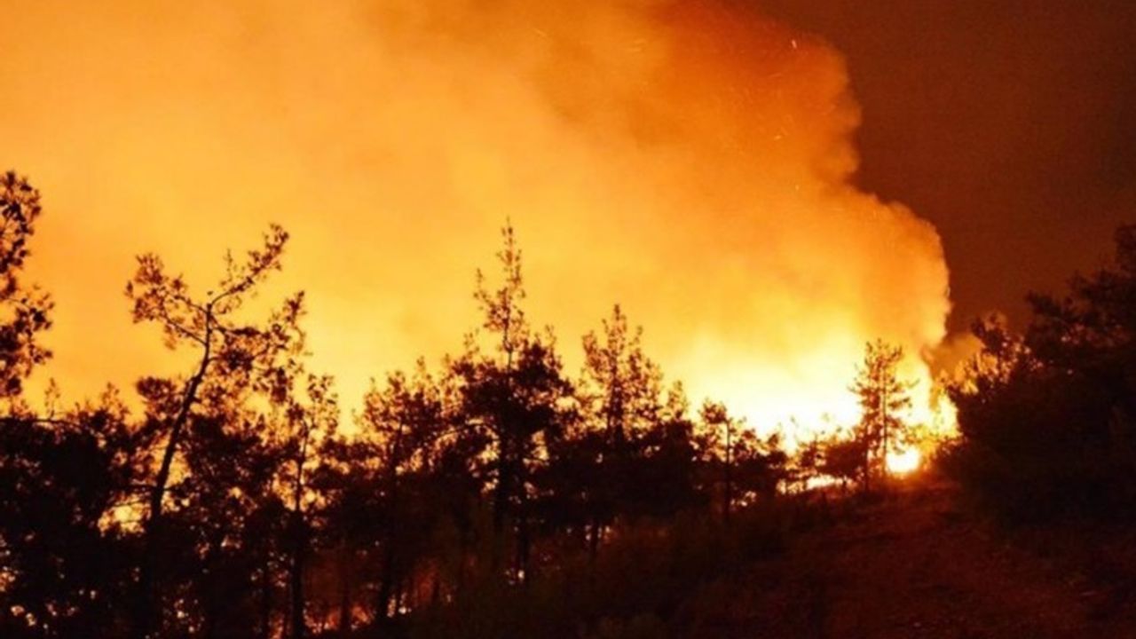 Şili’de orman yangınları: 19 can kaybı
