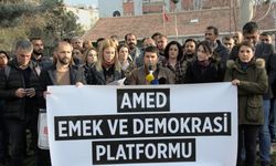 Amed Emek ve Demokrasi Platformu’ndan Lice’deki polis şiddetine tepki
