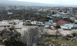 Diyarbakır Dicle'de hasar tespit çalışmaları tamamlandı