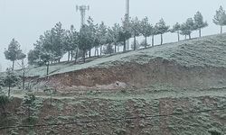 Diyarbakır’da Mart’ın son gününde kar yağışı