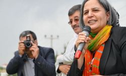 Gültan Kışanak’tan Newroz mesajı