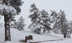 Erzurum’a 40 santimetre kar yağdı