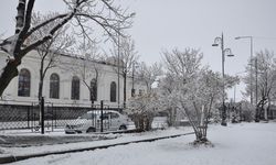 Mart ayında Kars’a lapa lapa kar yağdı