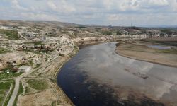 Batman Çayı ve Dicle Nehri'ne petrol sızıntısı: Nehir siyaha boyandı