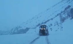 Siirt'te kar yağışı: Yollar kapandı