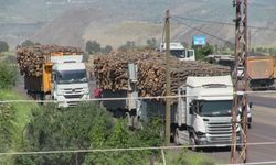 Şırnak Barosu: Ombdusmanlığın yanıtındaki bilgiler gerçeği yansıtmıyor