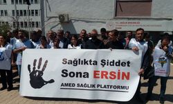 "Toplumsal şiddetin önüne geçilmedikçe sağlıkta şiddet sona ermeyecek"