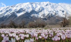 Dersim Ovacık: Dağlarda kar, ovada bahar