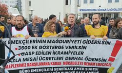 BES Amed Şubesi: SGK çalışanlarının iş yükü katmerlenerek artmıştır