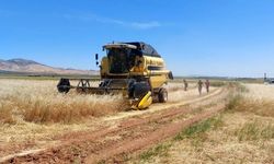 Mardin’de ilk arpa hasadı