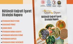 DTSO’dan Bütüncül Coğrafi İşaret Stratejisi Raporu