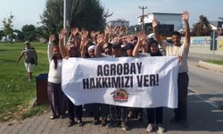 Agrobay işçileri: Haklarımızı alana kadar direneceğiz