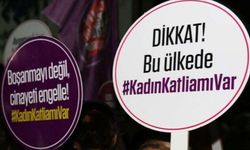 JINNEWS: Ağustos'ta 28 kadın katledildi