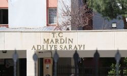 Mardin’de 3 tecavüz faili gözaltına alındı