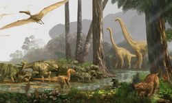 Araştırmacılar dinozorların neslinin neden tükendiğini inceledi