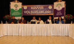 Diyarbakır'daki 'kayyum' toplantısında çarpıcı açıklamalar