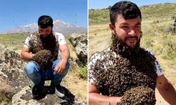 ‘Arı adam’ın bin kovan arısı selde telef oldu