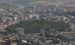 Cizre kayyımları 4 yılda 40 taşınmazı sattı