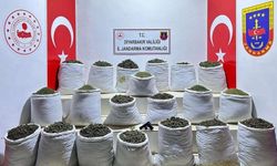 Diyarbakır’da uyuşturucu operasyonu: 2 gözaltı