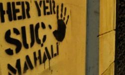 Urfa’nın Viranşehir’de kadın cinayeti