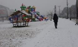 Bitlis’e kar yağdı