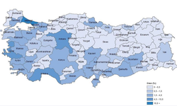 TÜİK 2022 Girişimcilik ve İş Demografisi verilerini paylaştı