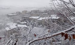 Hakkari’de kar yağışı