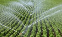 DEDAŞ 5 bin çiftçiye tarımsal sulama desteğinin kesildiğini bildirdi