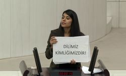 Meclis’te Kürtçe konuşup Türkçe gösterdi