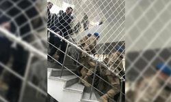 Urfa’daki göçmen kaçakçılığı operasyonunda 15 tutuklama