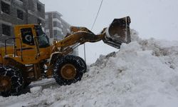 Bitlis’te 44 köy yolu ulaşıma kapandı
