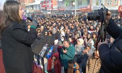 DEM Parti adaylarına kitlesel karşılama