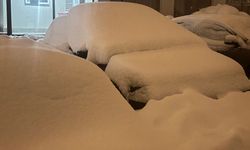 Yüksekova’da 40 santimetre kar, araçlar kara gömüldü