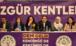 Diyarbakır’da ‘Yerel demokrasi’ toplantısı: Amed kayyımdan kurtulmak istiyor