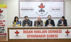 İHD Diyarbakır Şubesi: Bölgede en az 7 bin 229 hak ihlali yaşandı