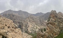 Gabar Dağı’ndaki yasak 6’ncı kez uzatıldı