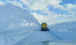 Van’da kar yağışı: 446 yerleşim yeri ulaşıma kapandı