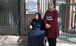 Emine Şenyaşar: Bana dava açan Erdoğan failleri neden tutuklamadı?