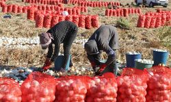 Nisan-Haziran, 2024 İşgücü Girdi Endeksleri