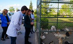 Diyarbakır Büyükşehir Eş Başkanı Bucak’tan hayvan barınağında inceleme