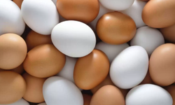Kullanım ömrü geçmiş yumurtalar halk sağlığını tehdit ediyor