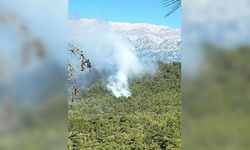 Akdeniz’de orman yangınları başladı